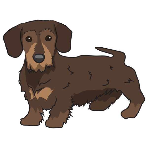 Signmission Doxiepoo Dog Decal, Dog Lover Decor Vinyl Sticker D-12-Doxiepoo - main